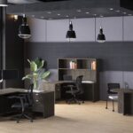 Melindungi Furniture Kantor dari Serangan Serangga