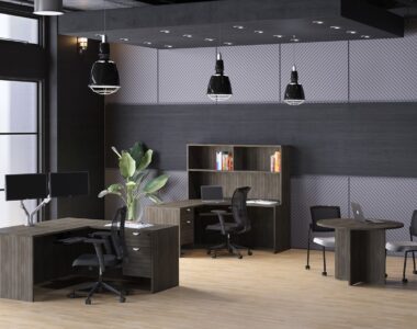 Melindungi Furniture Kantor dari Serangan Serangga
