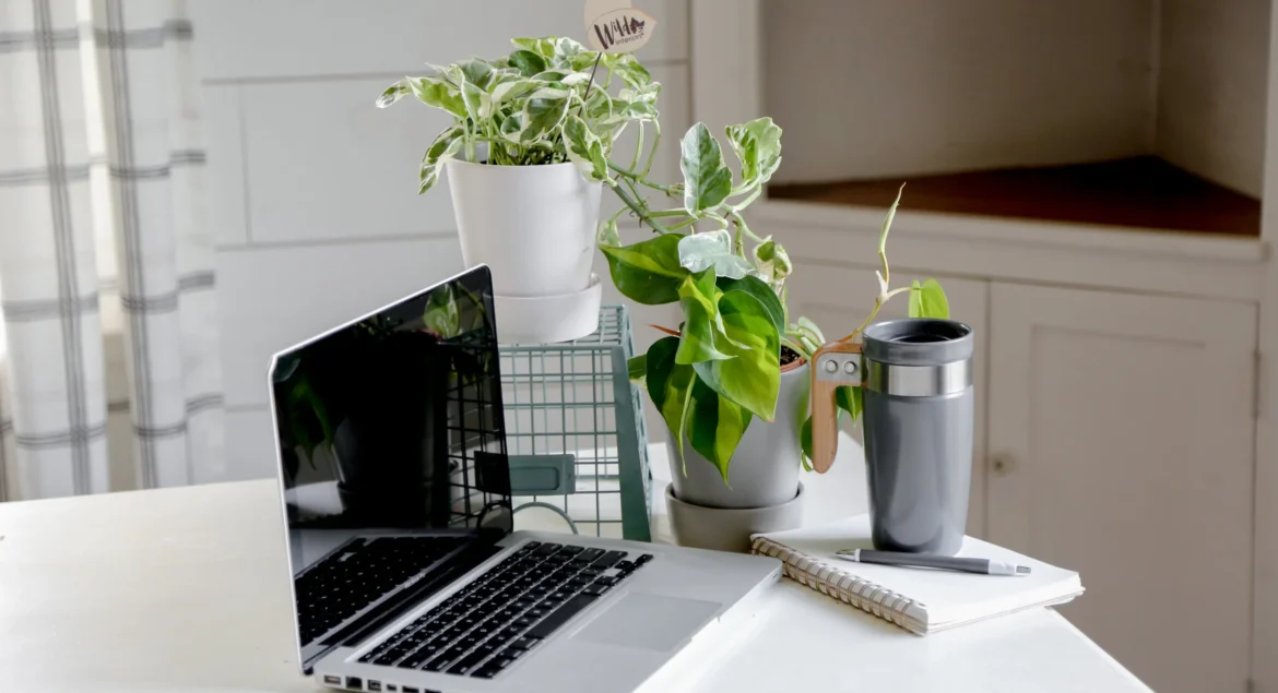 Manfaat Tanaman Hias di Kantor