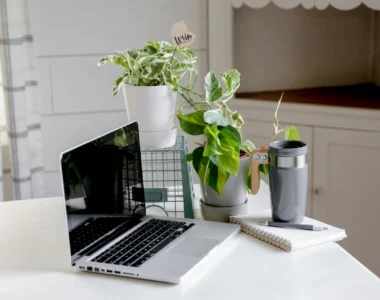 Manfaat Tanaman Hias di Kantor