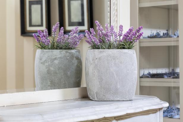 Tanaman Lavender di Kantor