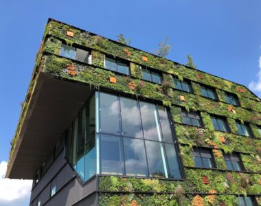 Konsep Green Office untuk Perusahaan yang Peduli Lingkungan